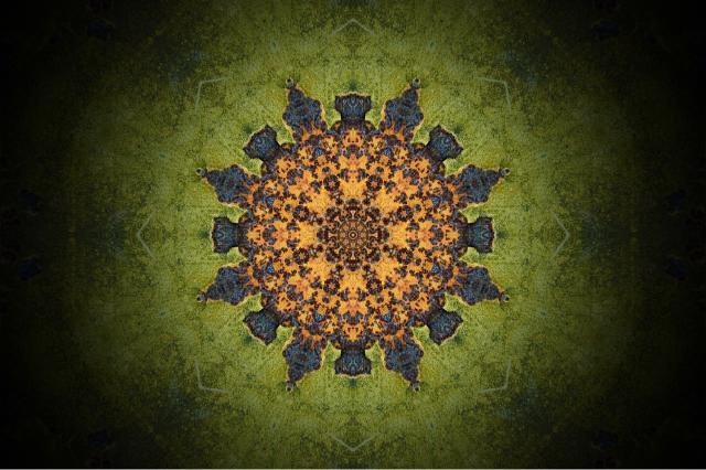 mandala psicologia analitica junghiana